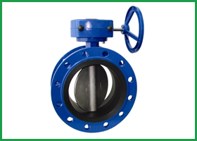 butterfly valve manufacturer exporter